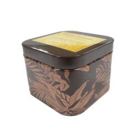 Decorative Square Small Tea Tin With Plug Lid